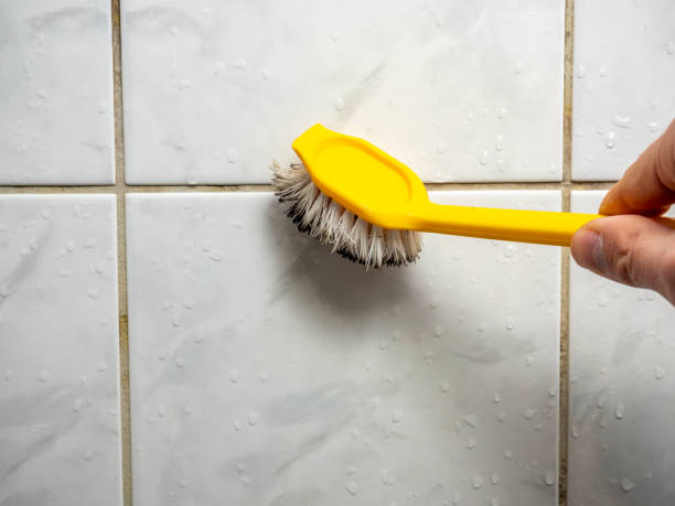Best Residential Mold Removal  in Bunkie, LA
