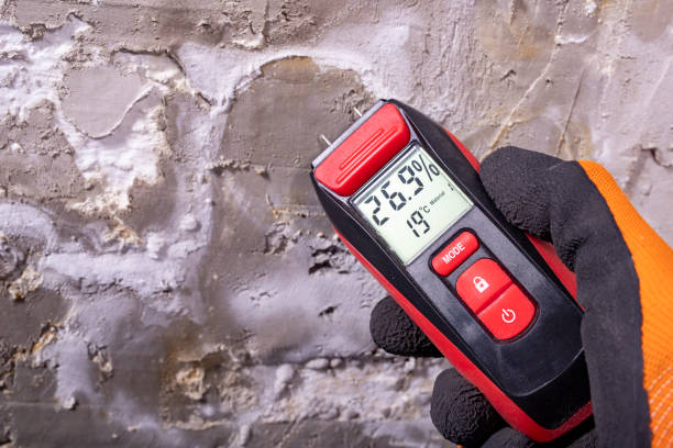 Best Office Mold Removal Services  in Bunkie, LA