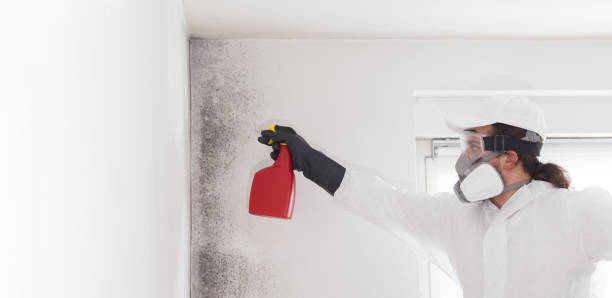 Best Certified Mold Removal  in Bunkie, LA