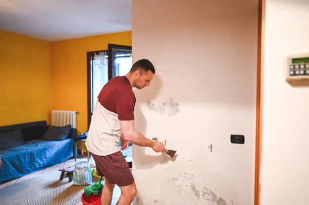 Best Professional Mold Removal  in Bunkie, LA