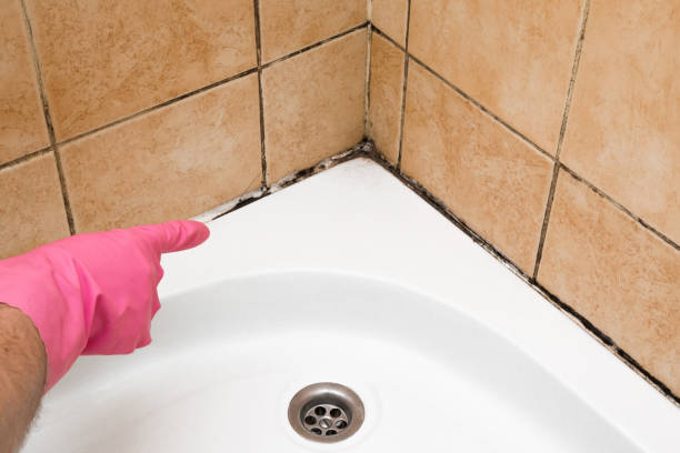 Best Home Mold Removal  in Bunkie, LA